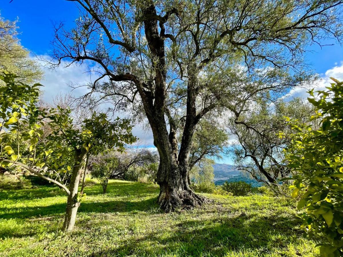 La Esperanza Granada Luxury Hacienda&Private Villa Saleres Esterno foto