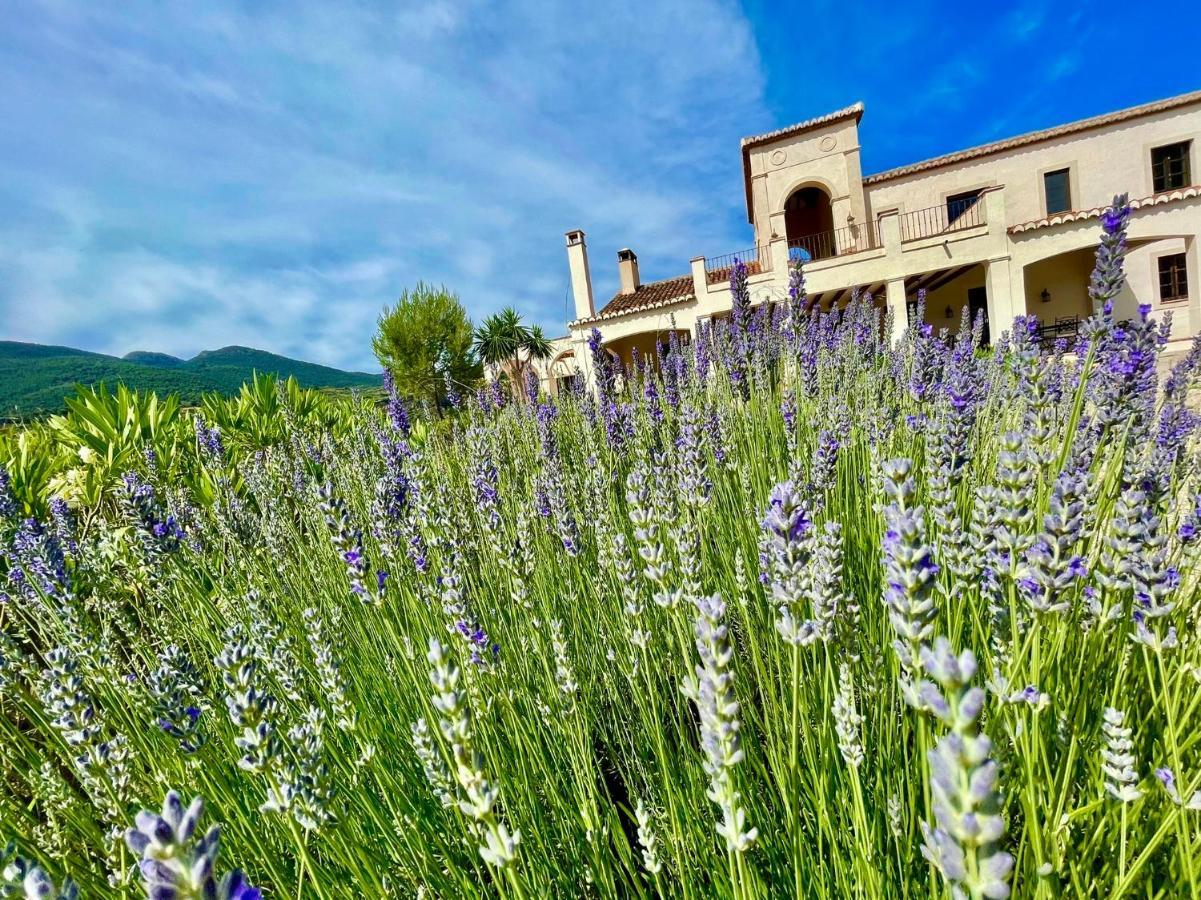 La Esperanza Granada Luxury Hacienda&Private Villa Saleres Esterno foto